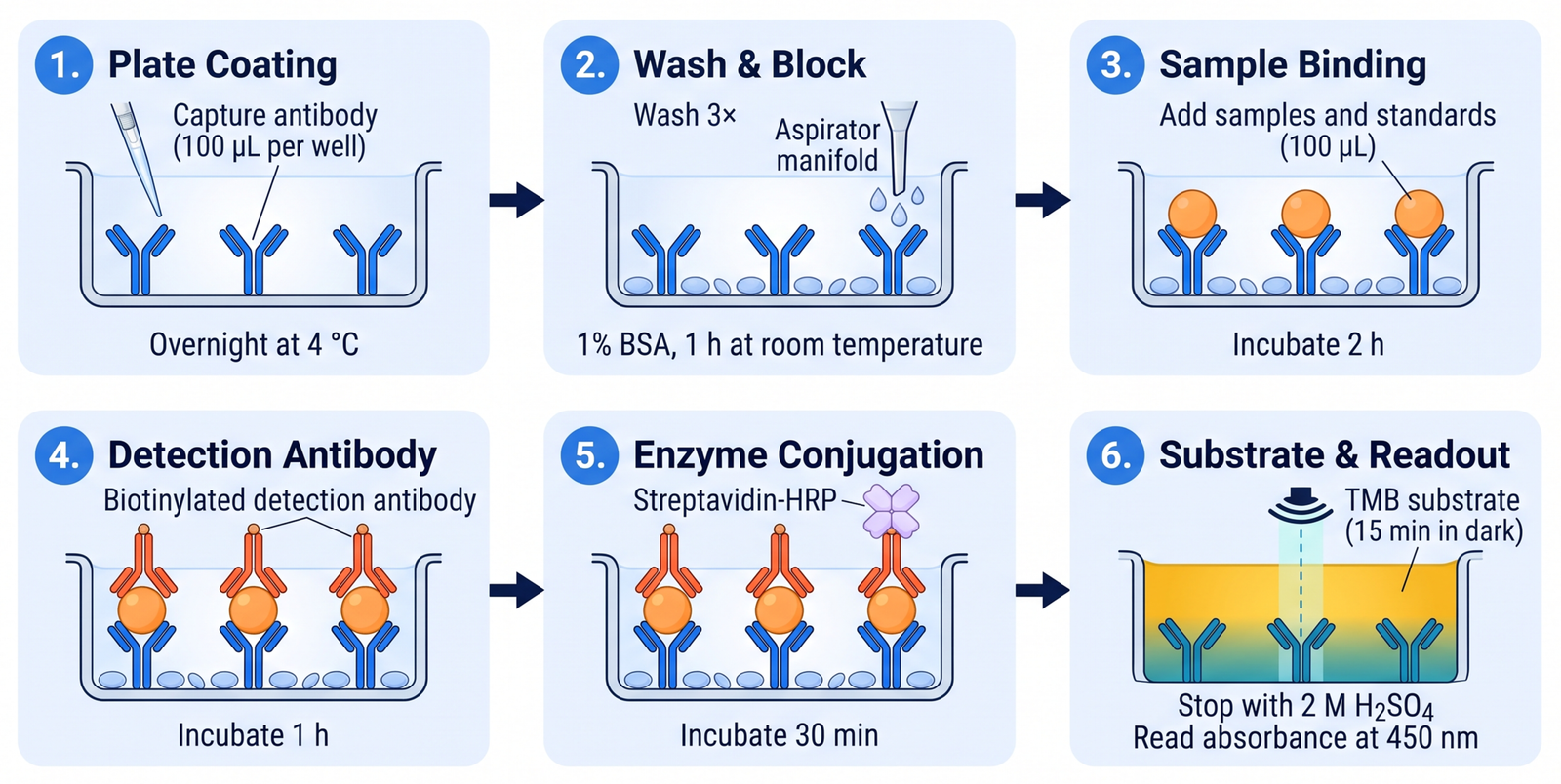 Protocol made with aFig